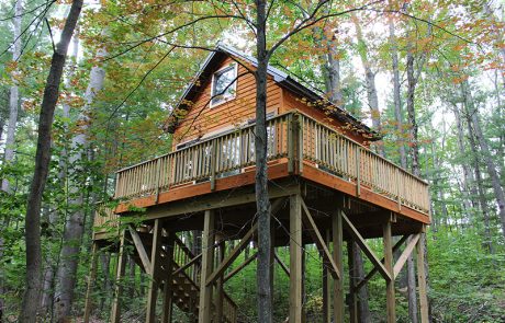Photo of tree house project